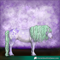 Horse Color:Painted Watercolor White Spotted Silver Black Chinchilla Ice Appaloosa 