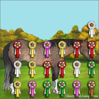 Horse Color:Brown Dun Rabicano 