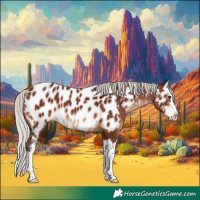 Horse Color:Silver Brown Sabino Splash Appaloosa 