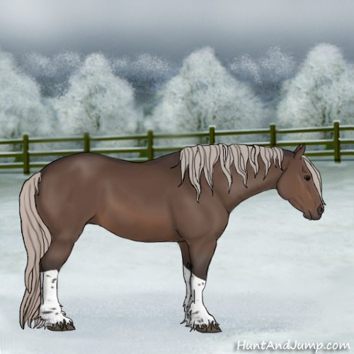 Horse Color:Silver Brown Tobiano 