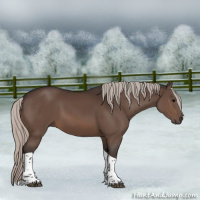 Horse Color:Silver Brown Tobiano 