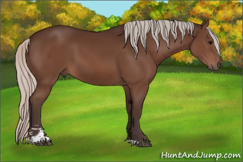 Horse Color:Silver Brown Sabino 