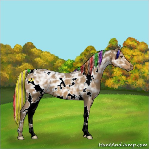 Horse Color:Painted White Spotted Chocolate Palomino Ice 