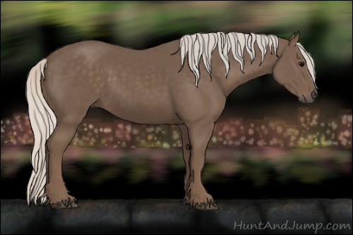 Horse Color:Silver Black 
