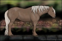 Horse Color:Silver Black 