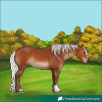 Horse Color:Silver Brown 