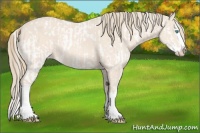 Horse Color:Perlino Sabino  and White Spotted Perlino Sabino Splash 