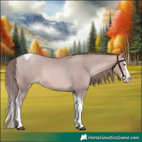 Horse Color:Platinum Bay Pearl Splash Tobiano 