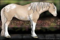 Horse Color:Chocolate Palomino Pearl Tobiano Frame and Chocolate Palomino Pearl Tobiano Frame