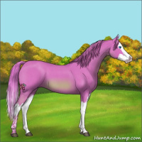 Horse Color:Watercolor Red Roan Splash 