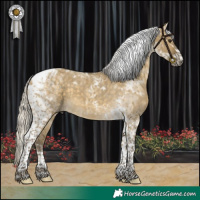 Horse Color:Silver Buckskin Dun Tobiano Rabicano