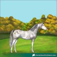 Horse Color:White Spotted Liver Red Dun Splash Varnish 