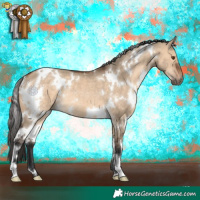 Horse Color:White Spotted Bay Dun Rabicano