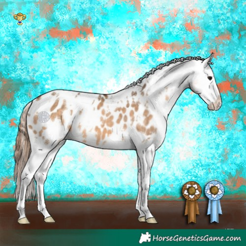 Horse Color:White Spotted Bay Dun Splash Appaloosa
