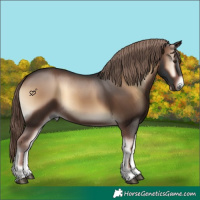 Horse Color:Liver Red Onyx 