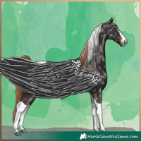 Horse Color:Liver Chestnut Ice Sabino Tobiano 
