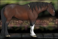 Horse Color:Brown 