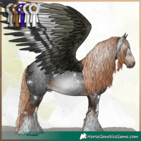 Horse Color:Gray White Spotted Liver Chestnut