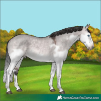 Horse Color:Platinum Brown Dun Splash Frame Rabicano