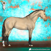 Horse Color:Buckskin Dun 