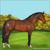 Horse Color:Brown 