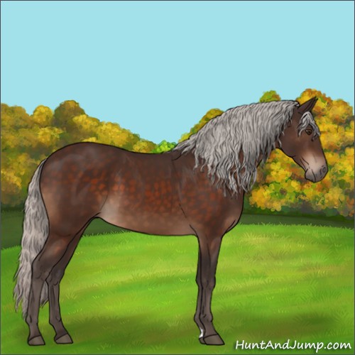 Horse Color:Silver Brown 
