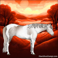 Horse Color:Gray Silver Black Pearl Tobiano 