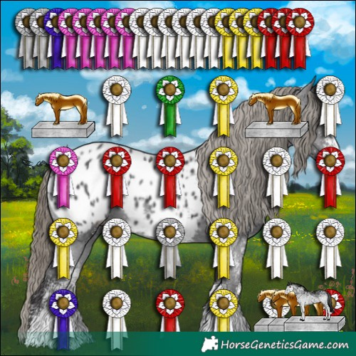 Horse Color:White Spotted Smoky Black Appaloosa 