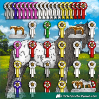 Horse Color:White Spotted Smoky Black Appaloosa