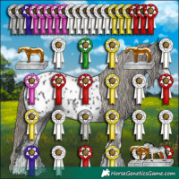 Horse Color:White Spotted Smoky Black Appaloosa 