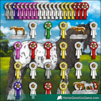Horse Color:White Spotted Smoky Black Blanket 