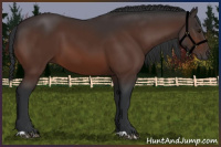 Horse Color:Brown 
