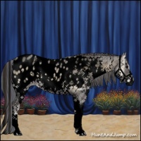 Horse Color:Void Painted White Spotted Smoky Blue Onyx Ice Splash Appaloosa 