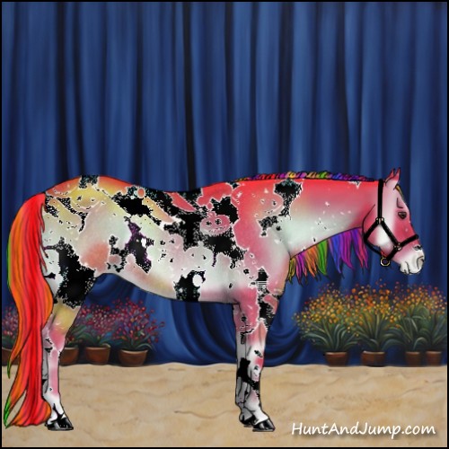 Horse Color:Painted Watercolor White Spotted Liver Red Onyx Appaloosa Rabicano 