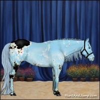 Horse Color:Watercolor White Spotted Chocolate Smoky Black Splash Appaloosa 