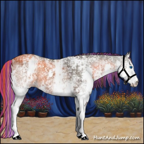 Horse Color:Painted White Spotted Buckskin Ice Splash Appaloosa