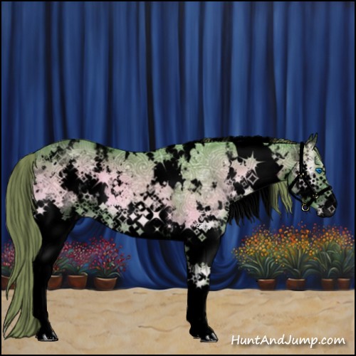 Horse Color:Void Watercolor White Spotted Smoky Blue Onyx Ice Splash Appaloosa 