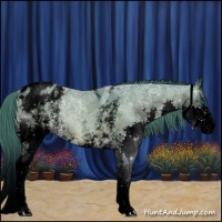 Horse Color:Void Watercolor White Spotted Bay Ice Splash Blanket 