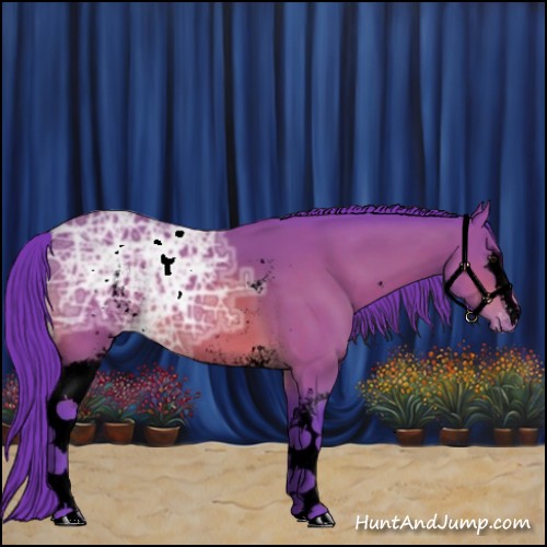 Horse Color:Void Watercolor White Spotted Bay Ice Varnish