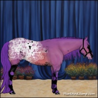 Horse Color:Void Watercolor White Spotted Bay Ice Varnish 