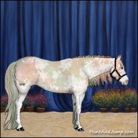 Horse Color:Watercolor Red Ice Roan Sabino Splash 