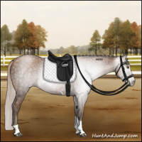 Horse Color:Gray Silver Black Pearl Tobiano 
