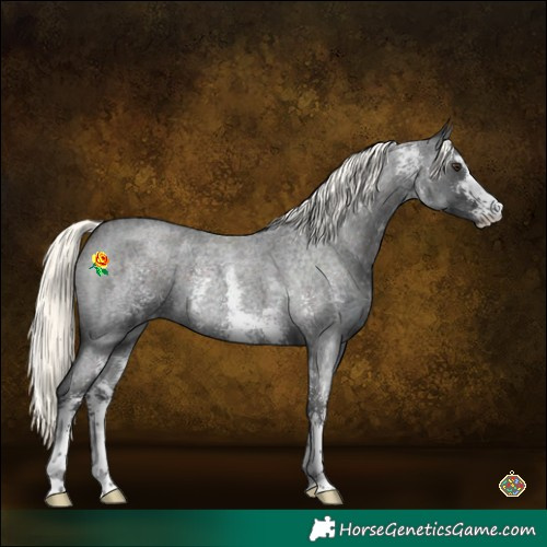 Horse Color:Liver Red Roan Mushroom Sabino 