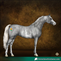 Horse Color:Liver Red Roan Mushroom Sabino 