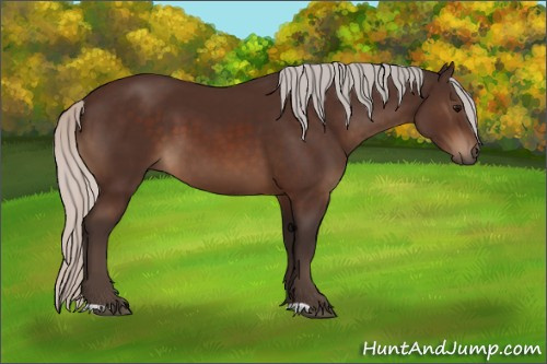 Horse Color:Silver Brown 
