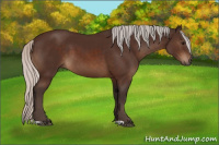 Horse Color:Silver Brown 