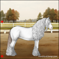 Horse Color:White Spotted Chestnut Blanket 