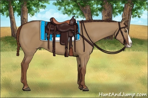 Horse Color:Red Dun Splash 