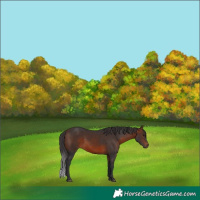 Horse Color:Brown 