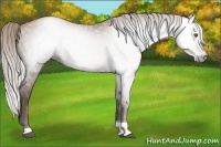 Horse Color:Gray Silver Black Pearl Tobiano 